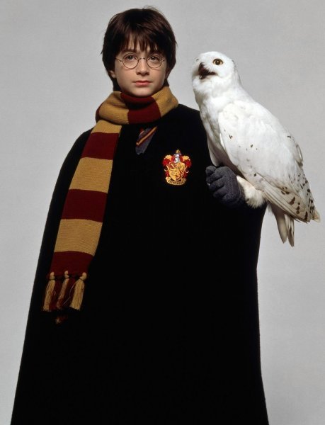 Daniel Radcliffe