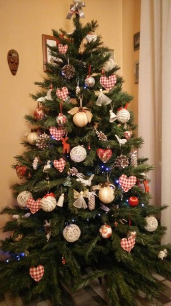 Božićna drvca tportalovih čitatelja (Marijana Gerić)