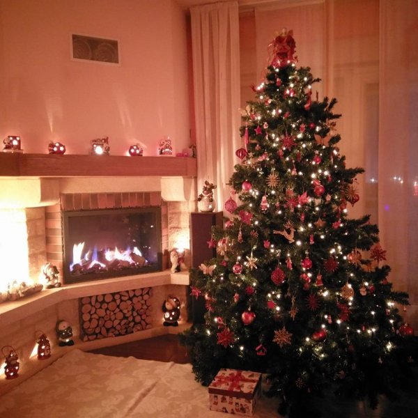 Božićna drvca tportalovih čitatelja (Kristina Bertol)