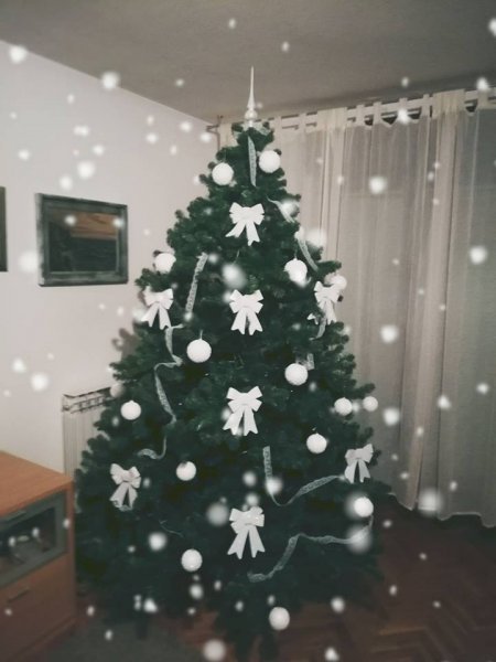 Božićna drvca tportalovih čitatelja (Vlatka Kaurin Lončar)