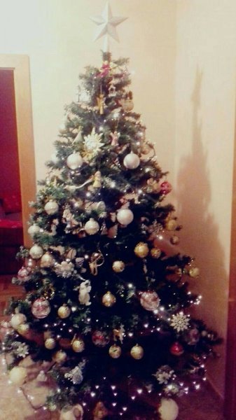 Božićna drvca tportalovih čitatelja (Irena Ćulibrk)