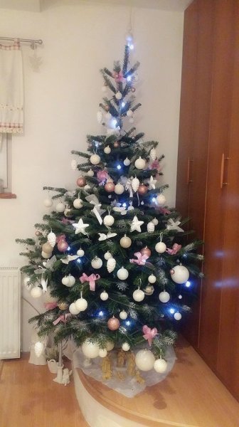 Božićna drvca tportalovih čitatelja (Ivana Veselić)
