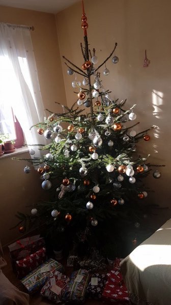 Božićna drvca tportalovih čitatelja (Mateja Grgurić)