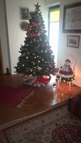 Božićna drvca tportalovih čitatelja (Vesna Veki Kralj)