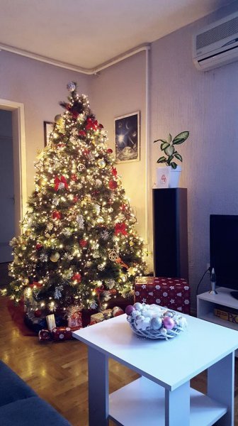 Božićna drvca tportalovih čitatelja (Ivana Hanzlić)