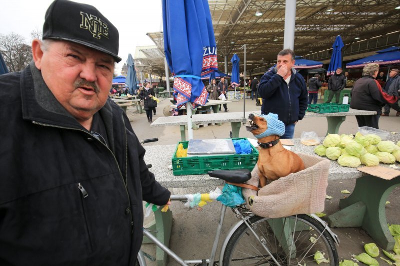 Roko i njegova kapica