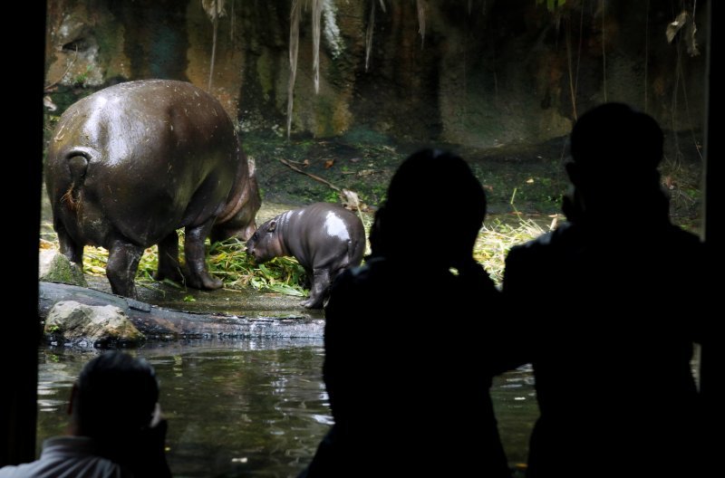 Novorođene životinje singapurskog zoološkog vrta