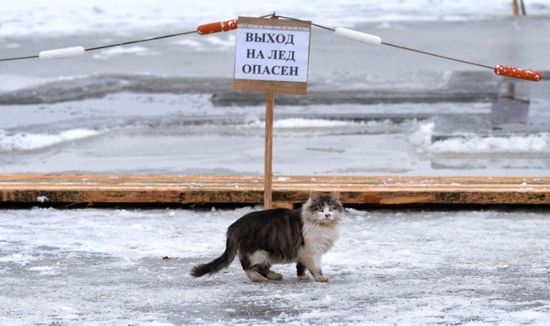 Kupanje u ledenoj vodi povodom Bogojavljenja - Bjelorusija