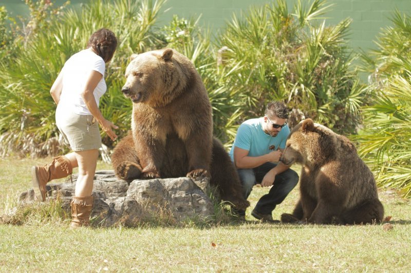 Obitelj Welde i njihovi medvjedi