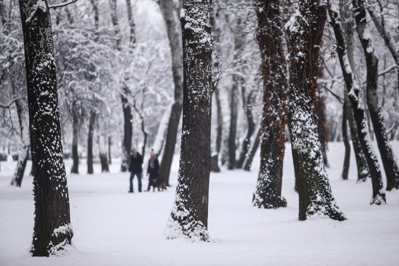 Zagrepčane jutros dočekao bijeli pokrivač