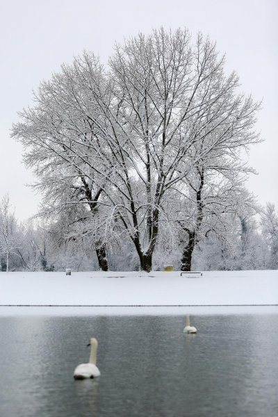 Zagrepčane jutros dočekao bijeli pokrivač