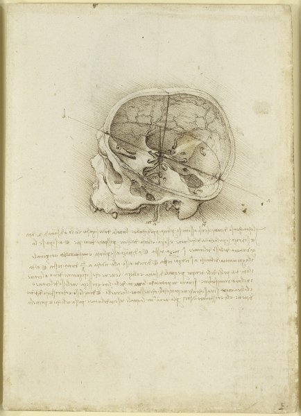 Prikaz lubanje, 1489