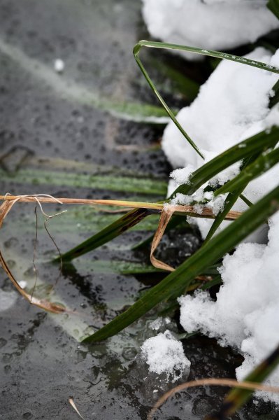 Idilični prizori parka Maksimir prekrivenog snijegom