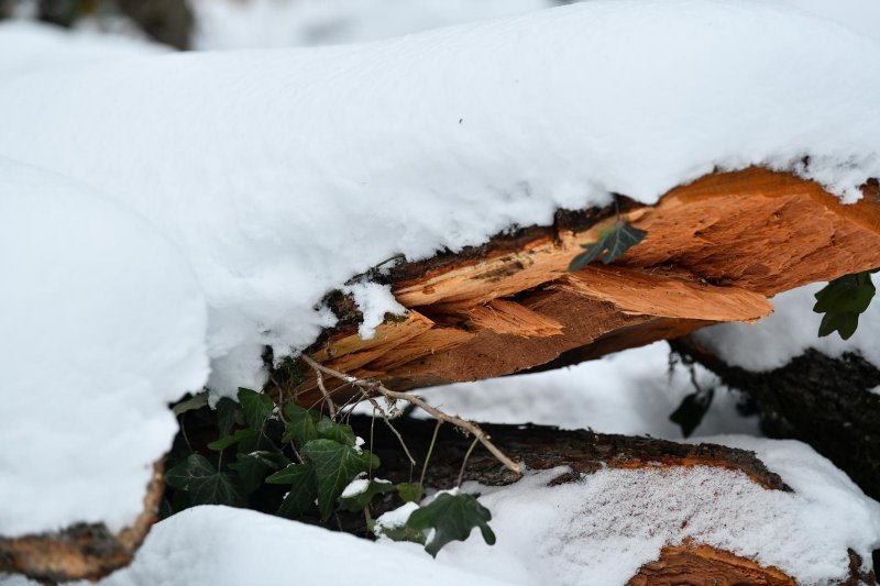 Idilični prizori parka Maksimir prekrivenog snijegom