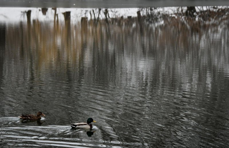 Idilični prizori parka Maksimir prekrivenog snijegom