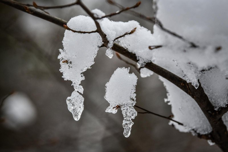 Idilični prizori parka Maksimir prekrivenog snijegom