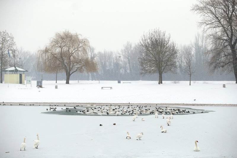 Iznimno niske temperature zaledile su jezero Jarun