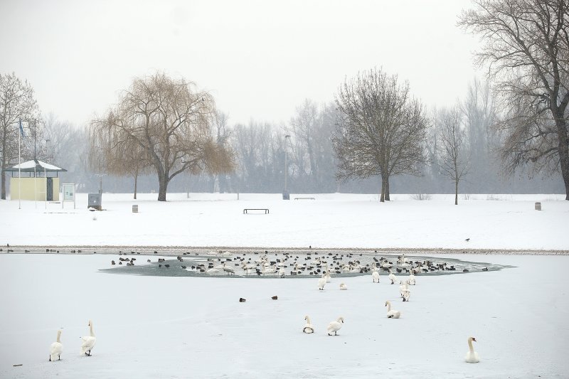 Iznimno niske temperature zaledile su jezero Jarun