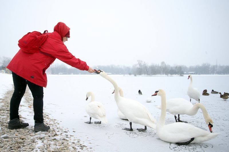 Iznimno niske temperature zaledile su jezero Jarun