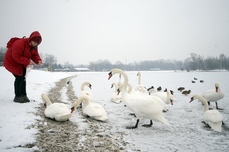 Iznimno niske temperature zaledile su jezero Jarun