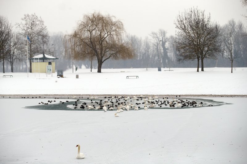 Iznimno niske temperature zaledile su jezero Jarun