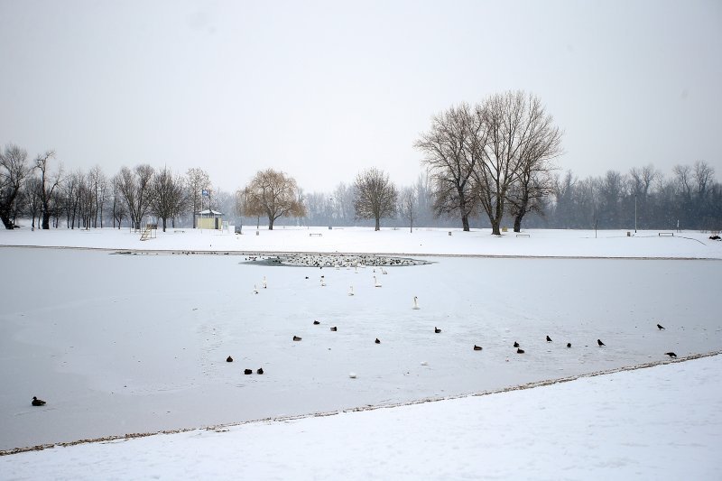 Iznimno niske temperature zaledile su jezero Jarun