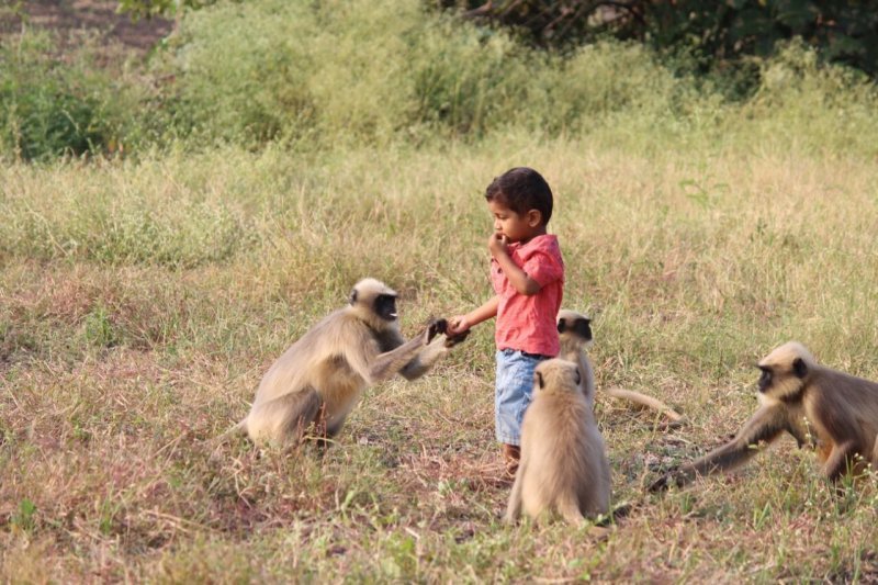 Dvogodišnji Samarth Bangari i majmuni