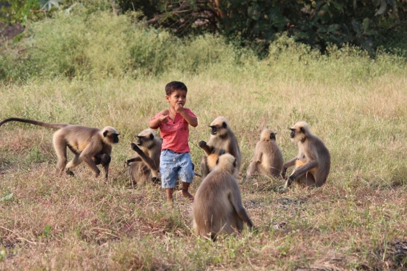 Dvogodišnji Samarth Bangari i majmuni