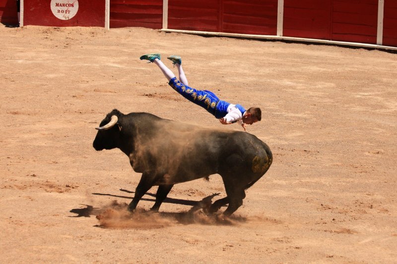 Borba s bikom bez krvoprolića