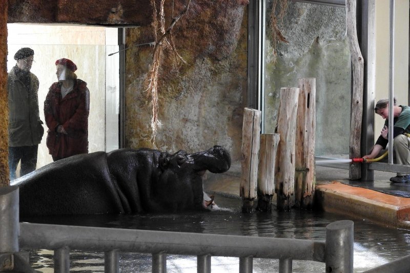 Bečki zoološki vrt Schönbrunn