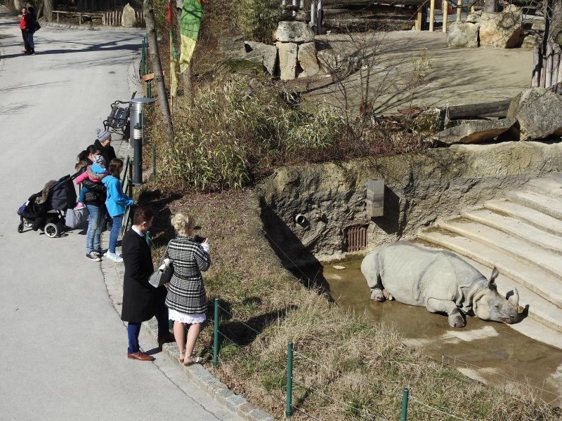 Bečki zoološki vrt Schönbrunn