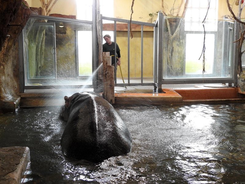 Bečki zoološki vrt Schönbrunn