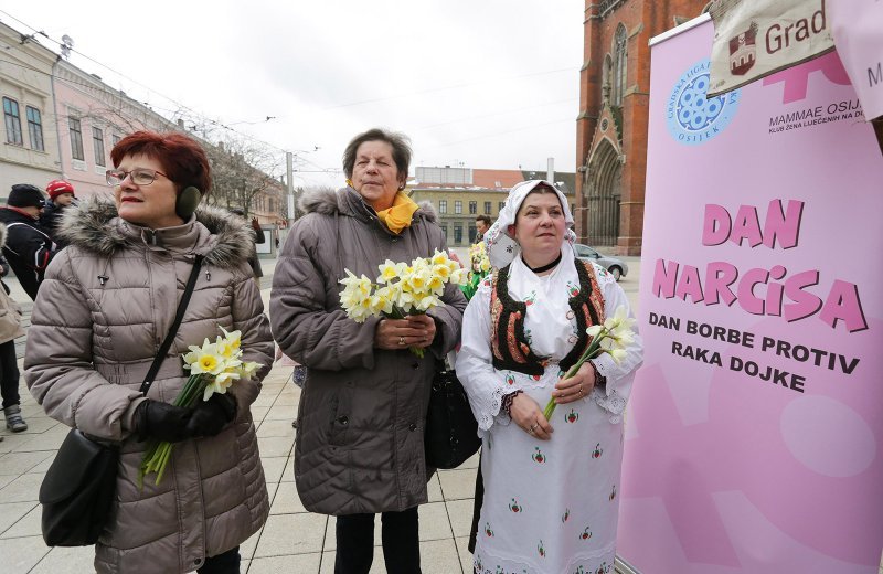 Osijek: Obilježen Dan narcisa