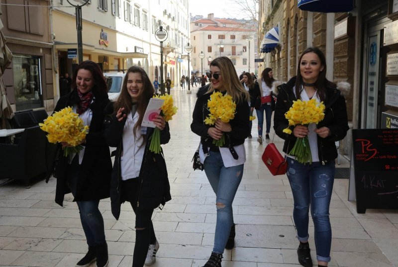 Rijeka: Humanitarna prodaja narcisa za kupnju uređaja za odjel ginokologije na KBC-u