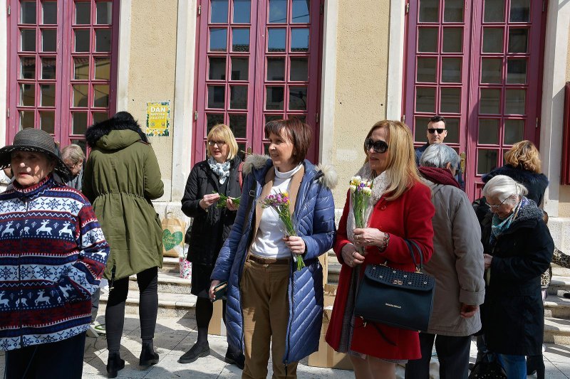 Šibenik: Prodaja narcisa za akciju dana protiv raka dojke