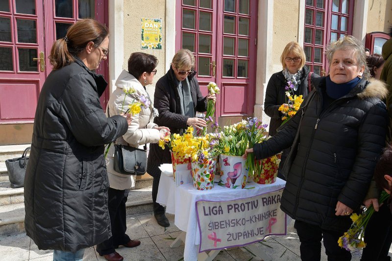 Šibenik: Prodaja narcisa za akciju dana protiv raka dojke