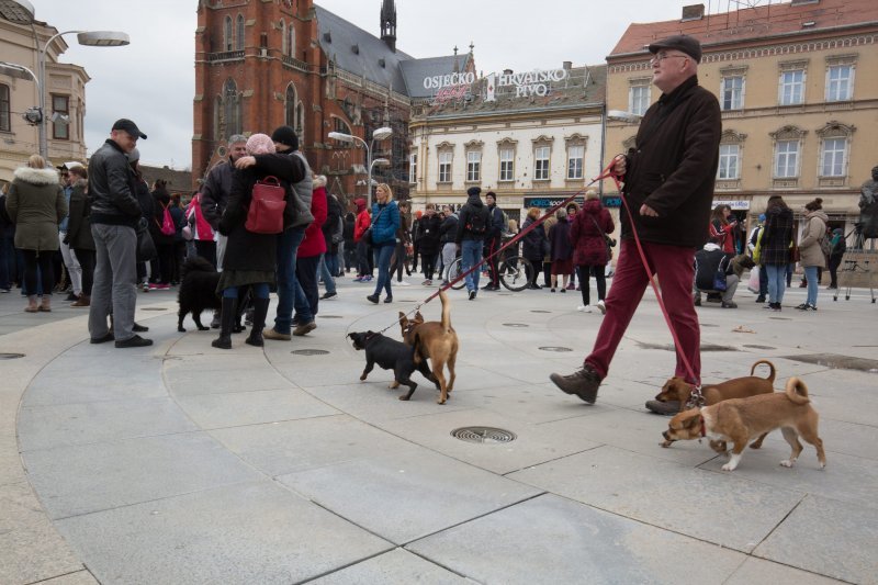 Prosvjed protiv trovanja životinja u Osijeku