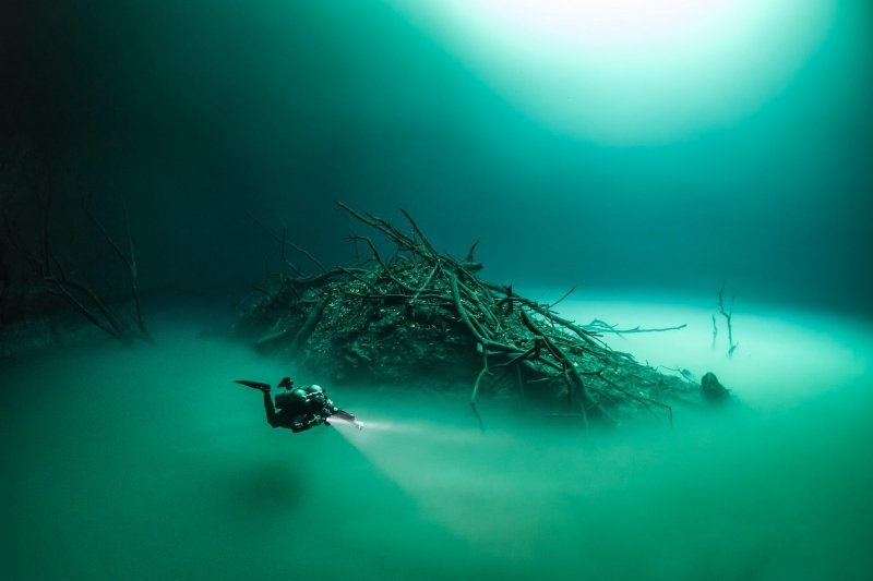 Fotografije natjecanja 6. Mares Underwater Photo Marathon