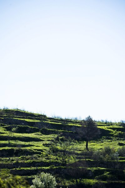 Žrnovnica se oporavila nakon velikog požara