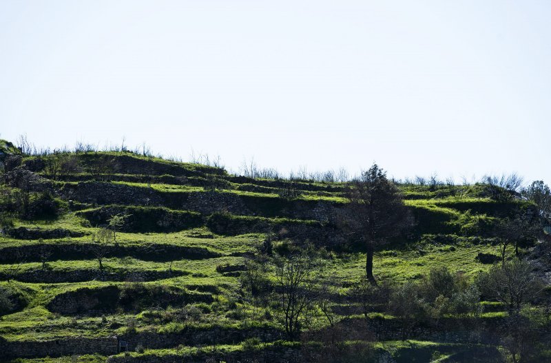 Žrnovnica se oporavila nakon velikog požara