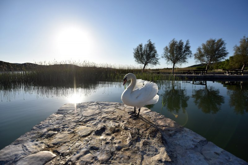 Vransko jezero