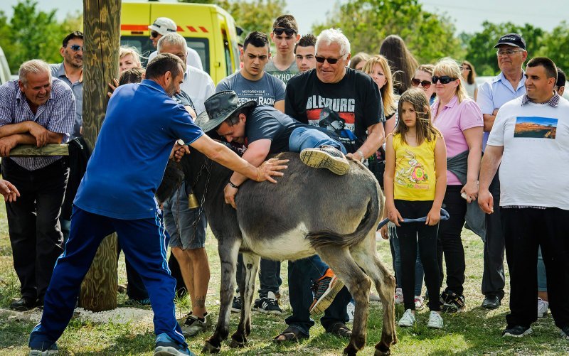 Na hipodromu u mjestu Oklaj održane 64. Prominske igre