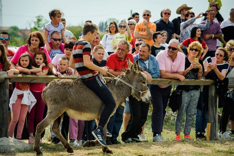 Na hipodromu u mjestu Oklaj održane 64. Prominske igre