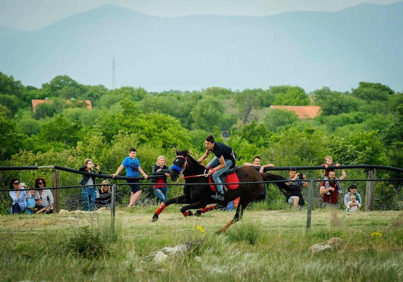 Na hipodromu u mjestu Oklaj održane 64. Prominske igre