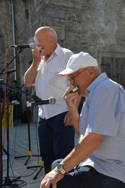 Okupljanje ljubitelja usne harmonike