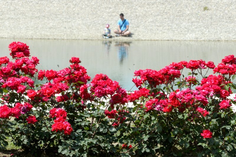 53. Međunarodna vrtna izložba Floraart