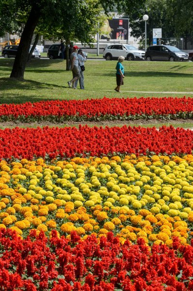 53. Međunarodna vrtna izložba Floraart