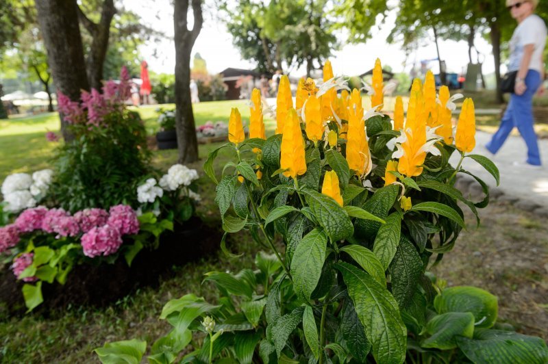 53. Međunarodna vrtna izložba Floraart