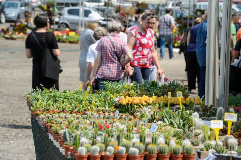 53. Međunarodna vrtna izložba Floraart