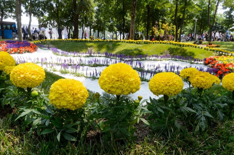 53. Međunarodna vrtna izložba Floraart